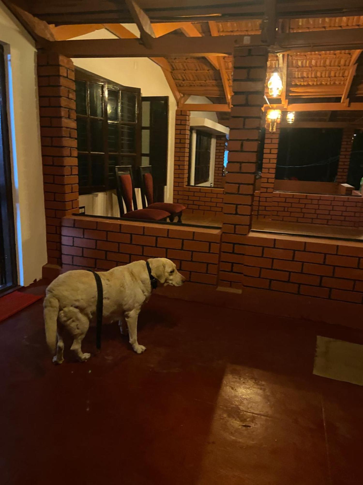 Koodige Stays Mudigere Esterno foto